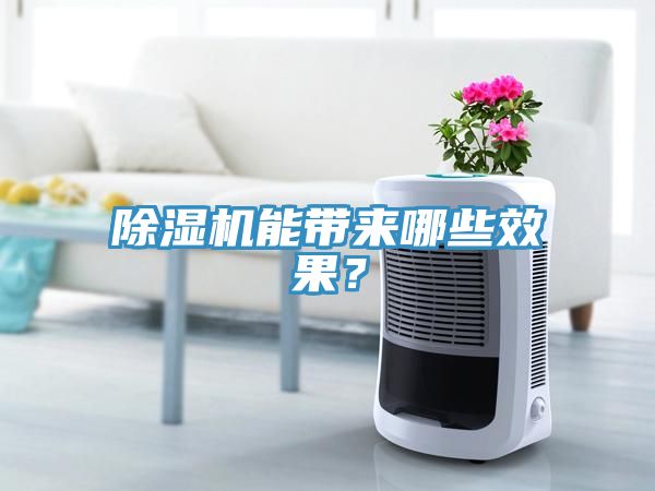 除濕機能帶來哪些效果？