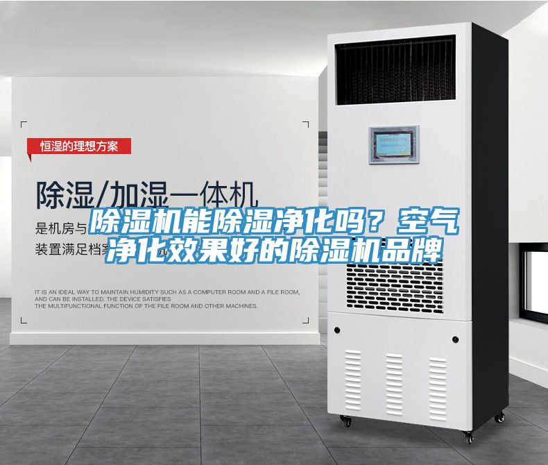 除濕機(jī)能除濕凈化嗎？空氣凈化效果好的除濕機(jī)品牌