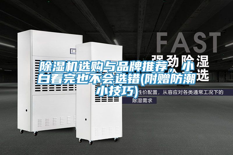 除濕機(jī)選購(gòu)與品牌推薦，小白看完也不會(huì)選錯(cuò)(附贈(zèng)防潮小技巧)