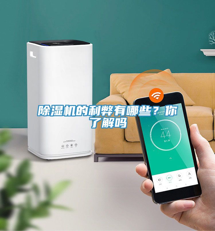 除濕機(jī)的利弊有哪些？你了解嗎