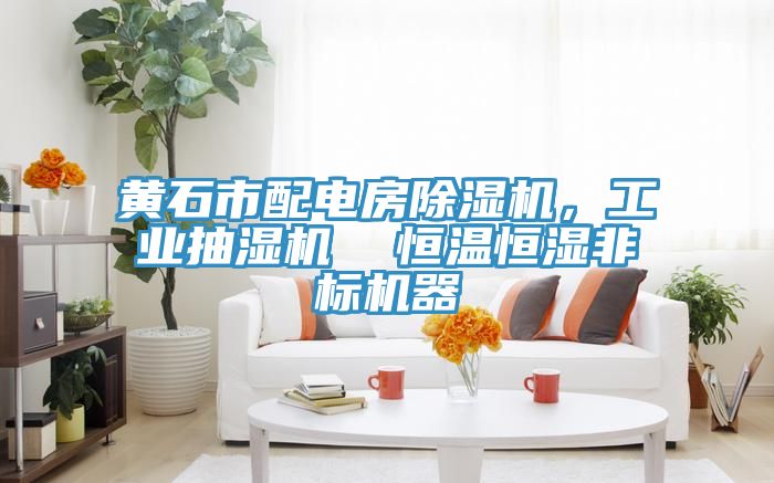 黃石市配電房除濕機(jī)，工業(yè)抽濕機(jī)  恒溫恒濕非標(biāo)機(jī)器