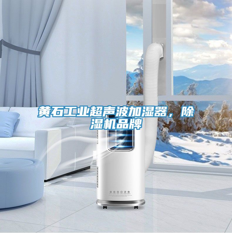 黃石工業(yè)超聲波加濕器，除濕機(jī)品牌