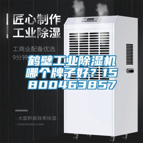 鶴壁工業(yè)除濕機(jī)哪個(gè)牌子好？15800463857