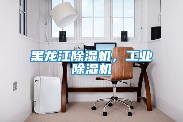 黑龍江除濕機(jī)，工業(yè)除濕機(jī)
